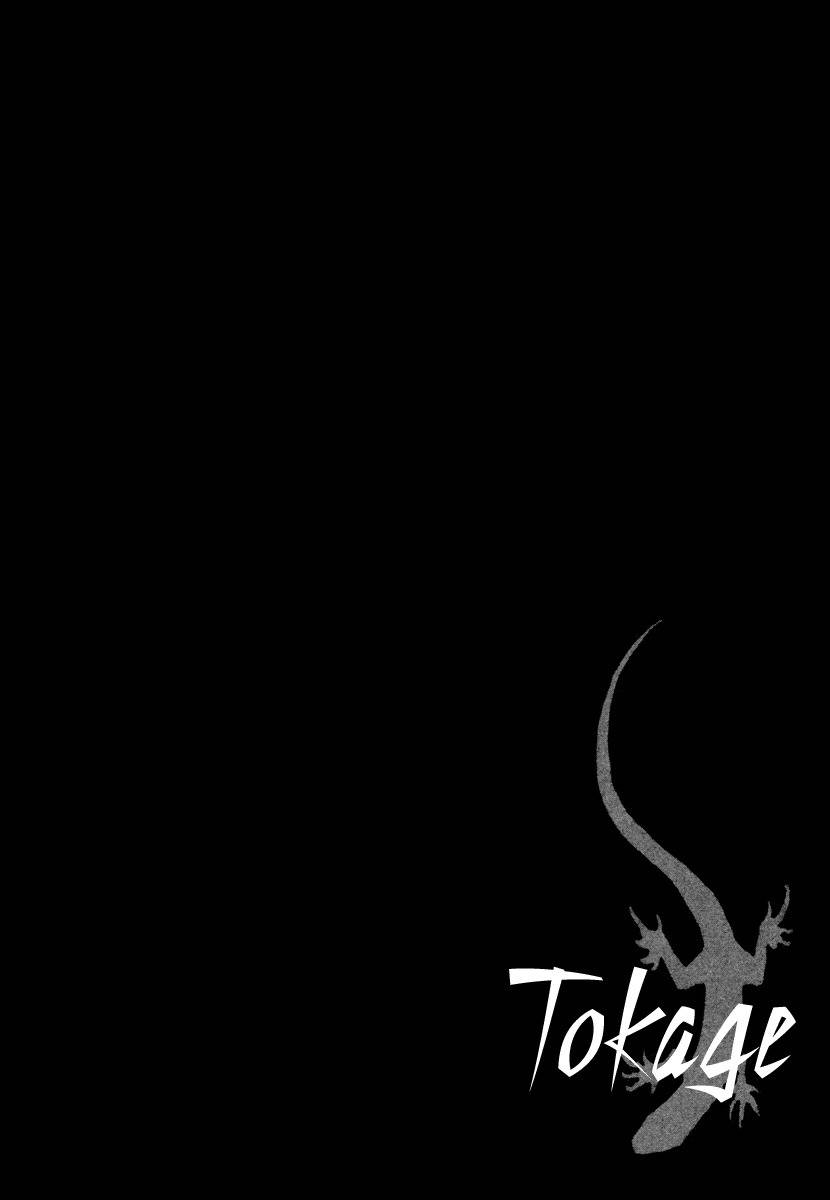 Tokage Chapter 17 page 19 - Chapter 17