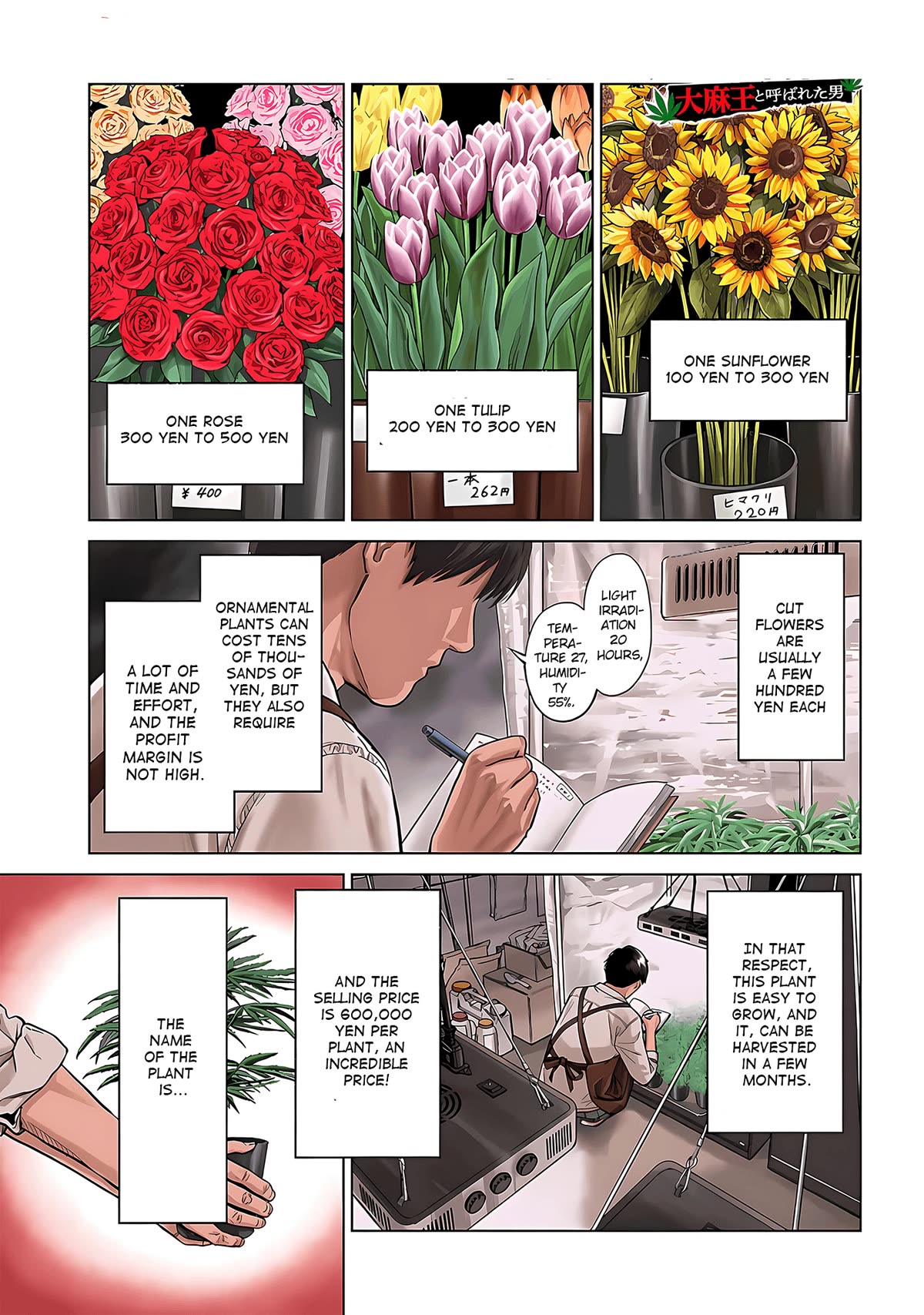 Tokyo Cannabis Special Ward - The Guy Called Cannabis King Chapter 1 page 3 - Chapter 1: The plant that bears gold