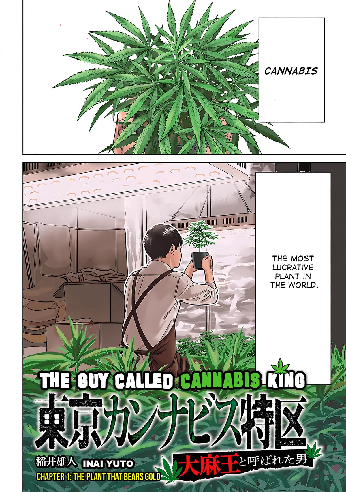 Tokyo Cannabis Special Ward - The Guy Called Cannabis King Chapter 1 page 4 - Chapter 1: The plant that bears gold