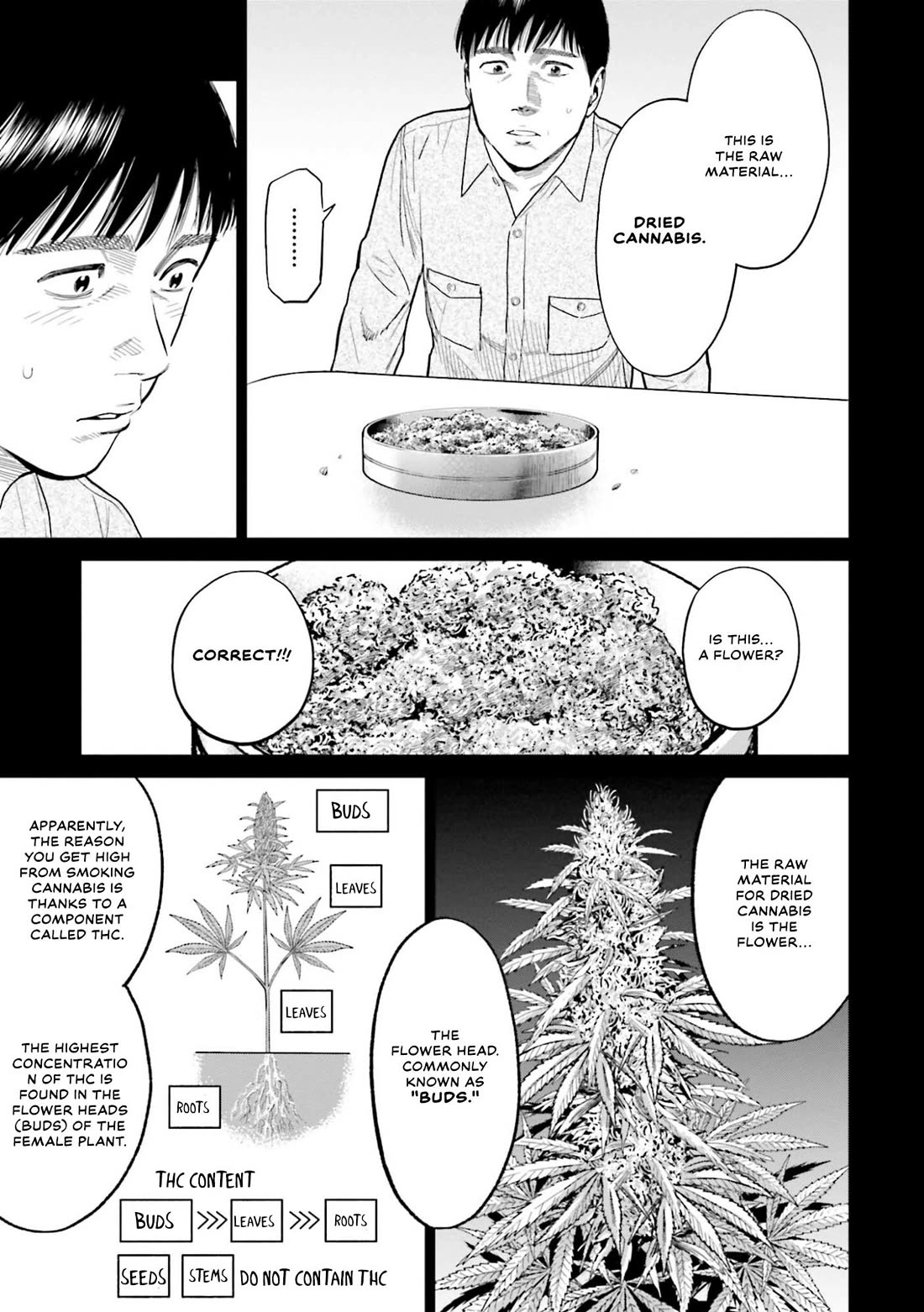 Tokyo Cannabis Special Ward - The Guy Called Cannabis King Chapter 7 page 3 - Chapter 7: The Conditions for Good Marijuana