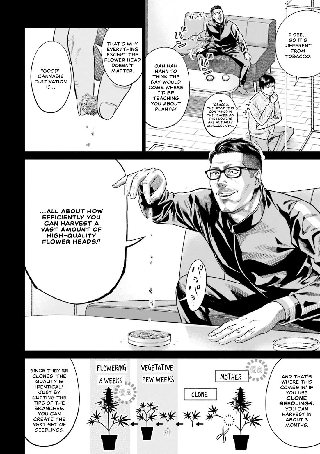 Tokyo Cannabis Special Ward - The Guy Called Cannabis King Chapter 7 page 4 - Chapter 7: The Conditions for Good Marijuana