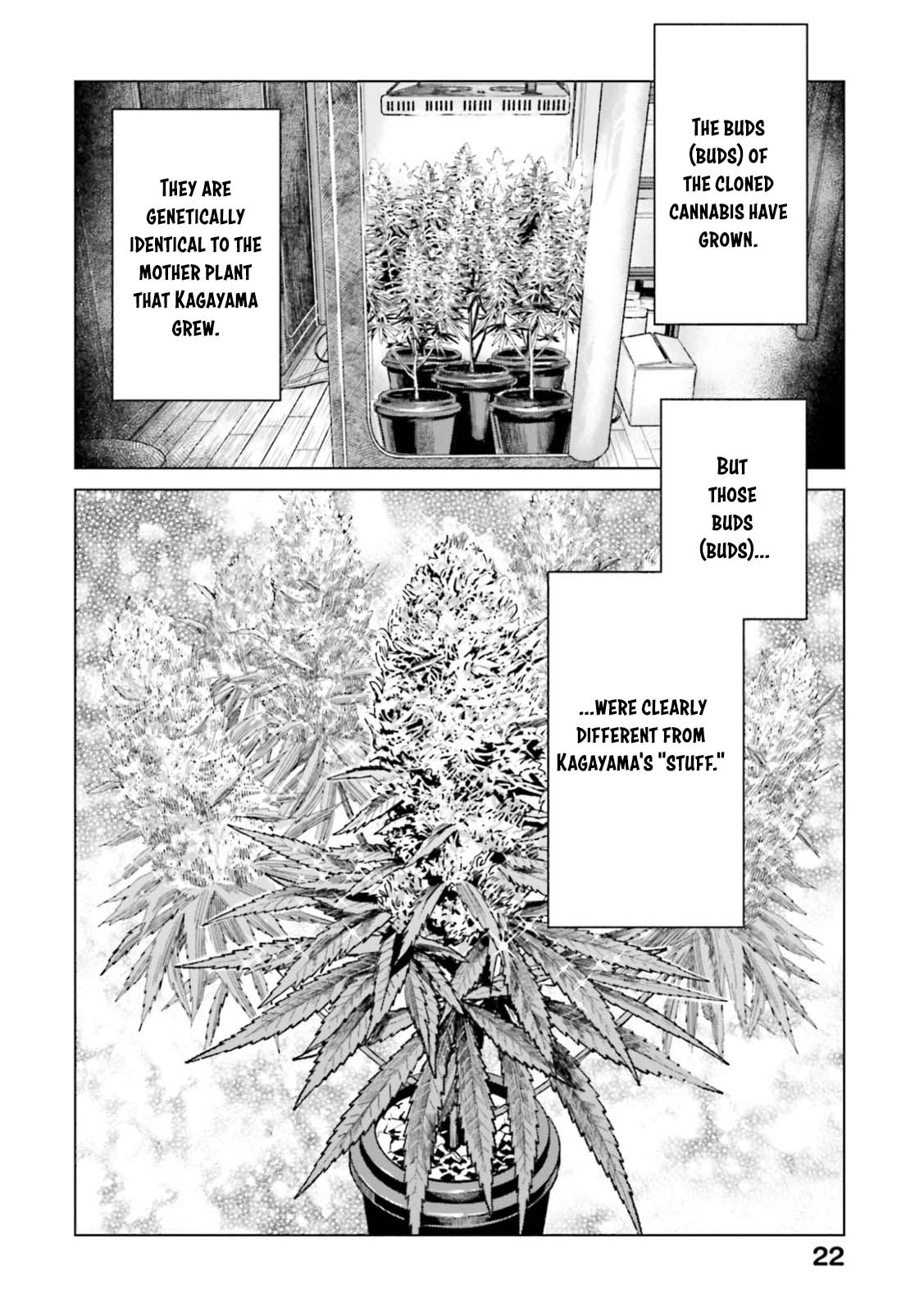 Tokyo Cannabis Special Ward - The Guy Called Cannabis King Chapter 8 page 20 - Chapter 8: The Enthusiasts