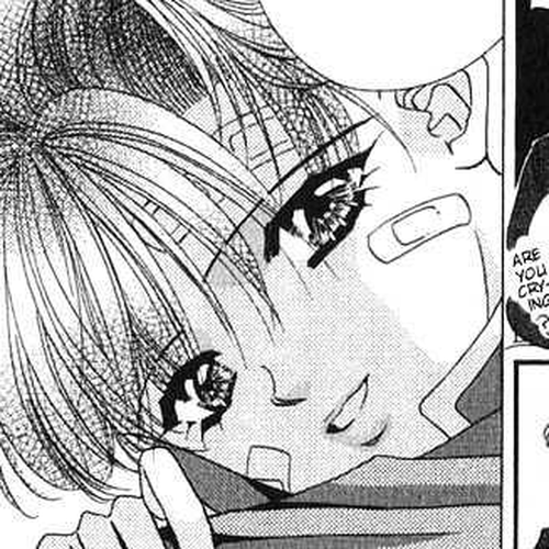 Tokyo Crazy Paradise Chapter 12 cover