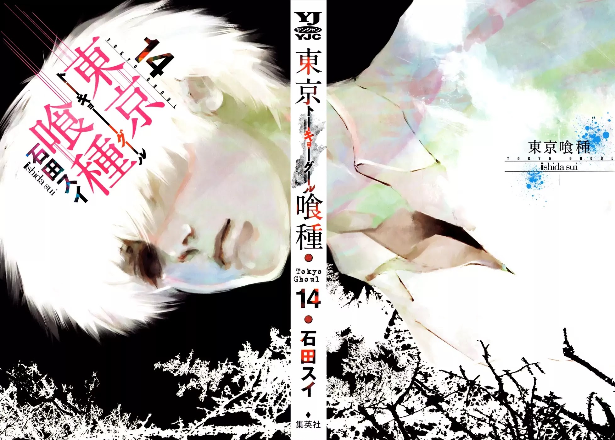 Tokyo Ghoul Chapter 133 page 1 - Chapter 133: Breaking a Mass