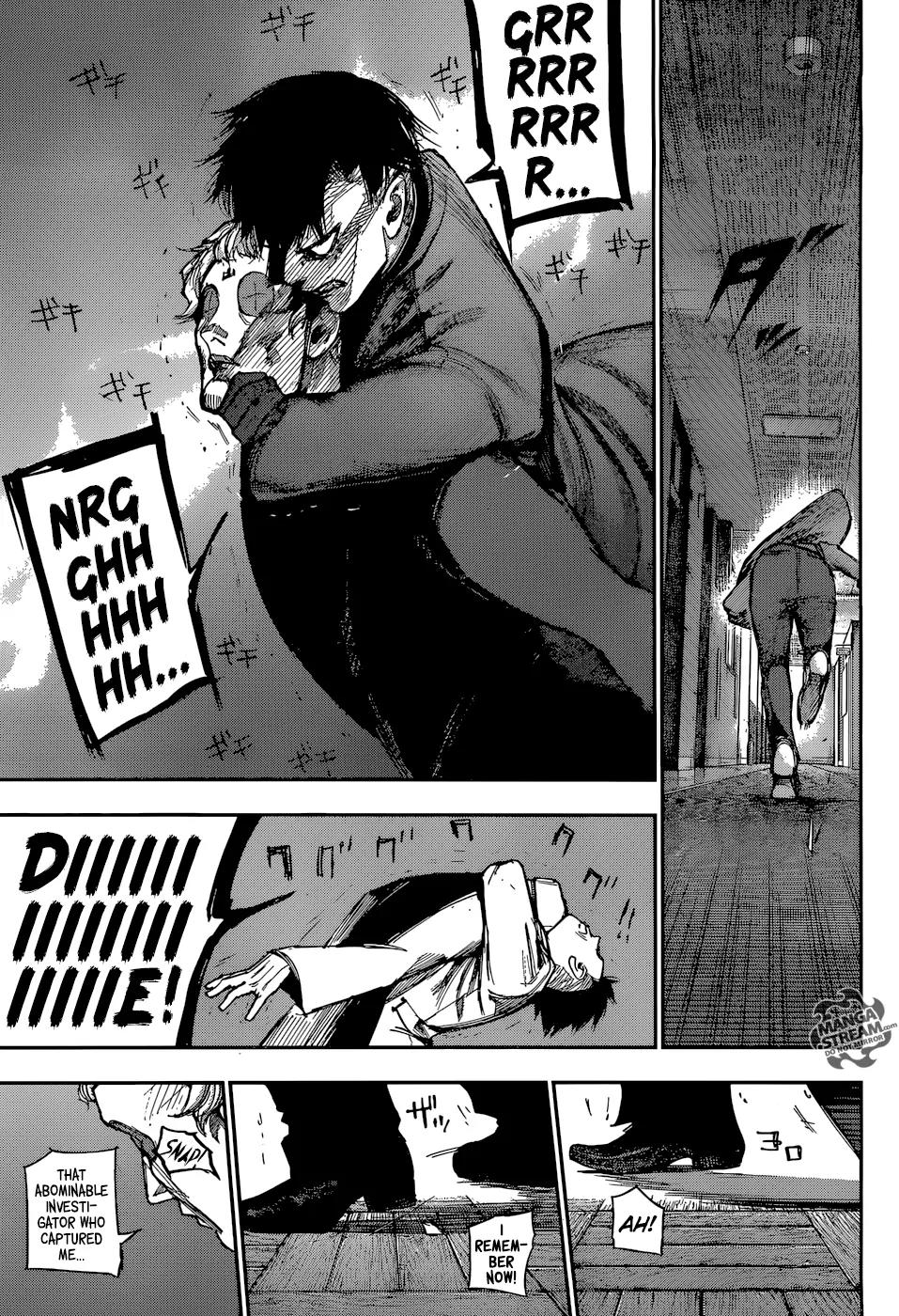 Tokyo Ghoul:re Chapter 108 page 17 - Chapter 108: Eternity