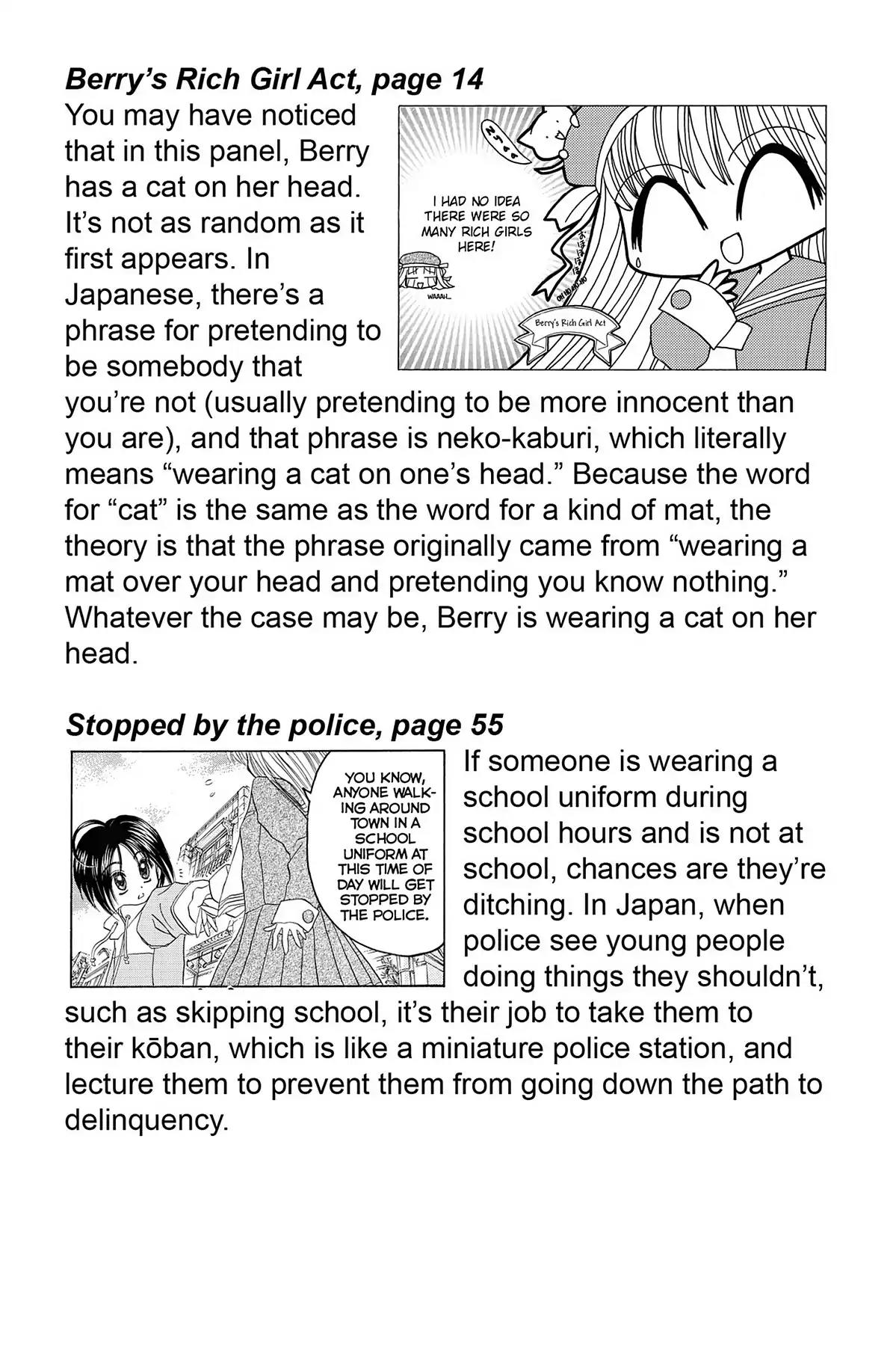 Tokyo Mew Mew a la Mode Chapter 6 page 38 - Chapter 6