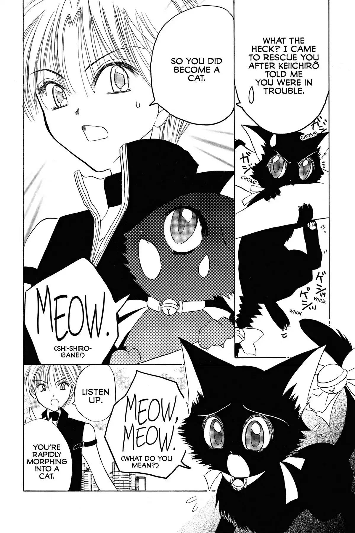Tokyo Mew Mew Chapter 12 page 38 - Chapter 12