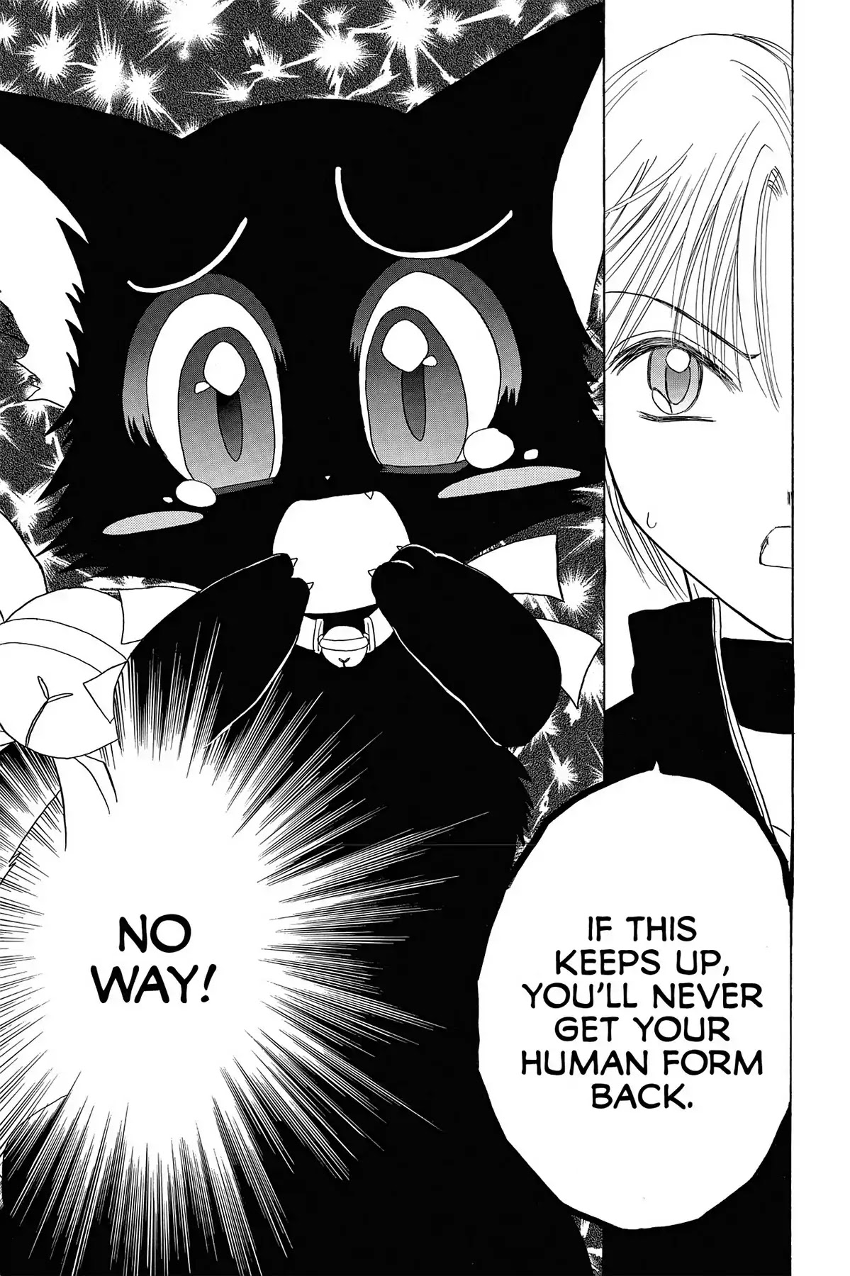 Tokyo Mew Mew Chapter 12 page 39 - Chapter 12