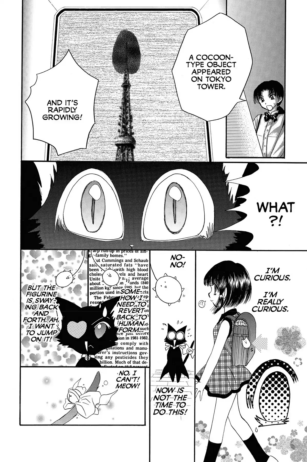 Tokyo Mew Mew Chapter 13 page 5 - Chapter 13