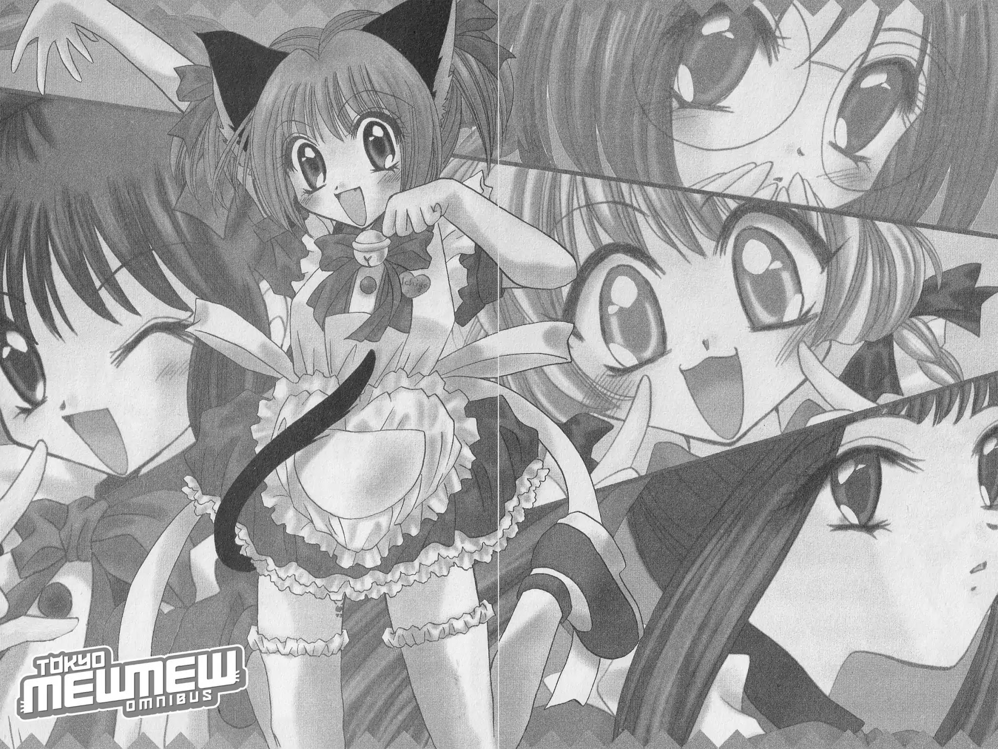 Tokyo Mew Mew Chapter 16 page 2 - Chapter 16