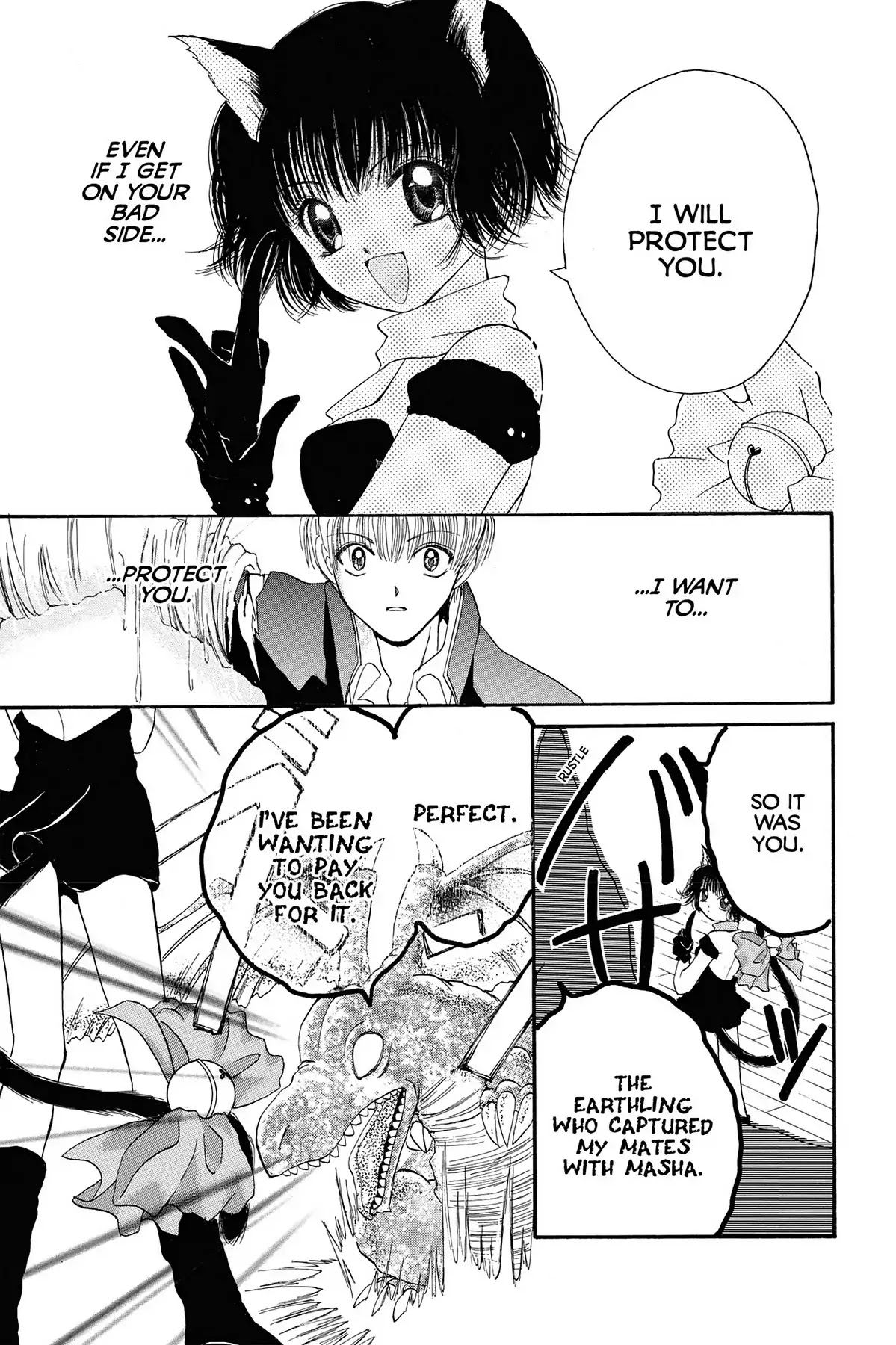 Tokyo Mew Mew Chapter 17.5 page 35 - Tokyo Black Cat Girl