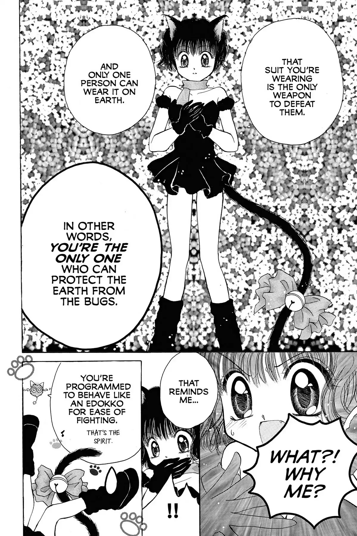 Tokyo Mew Mew Chapter 17.5 page 8 - Tokyo Black Cat Girl