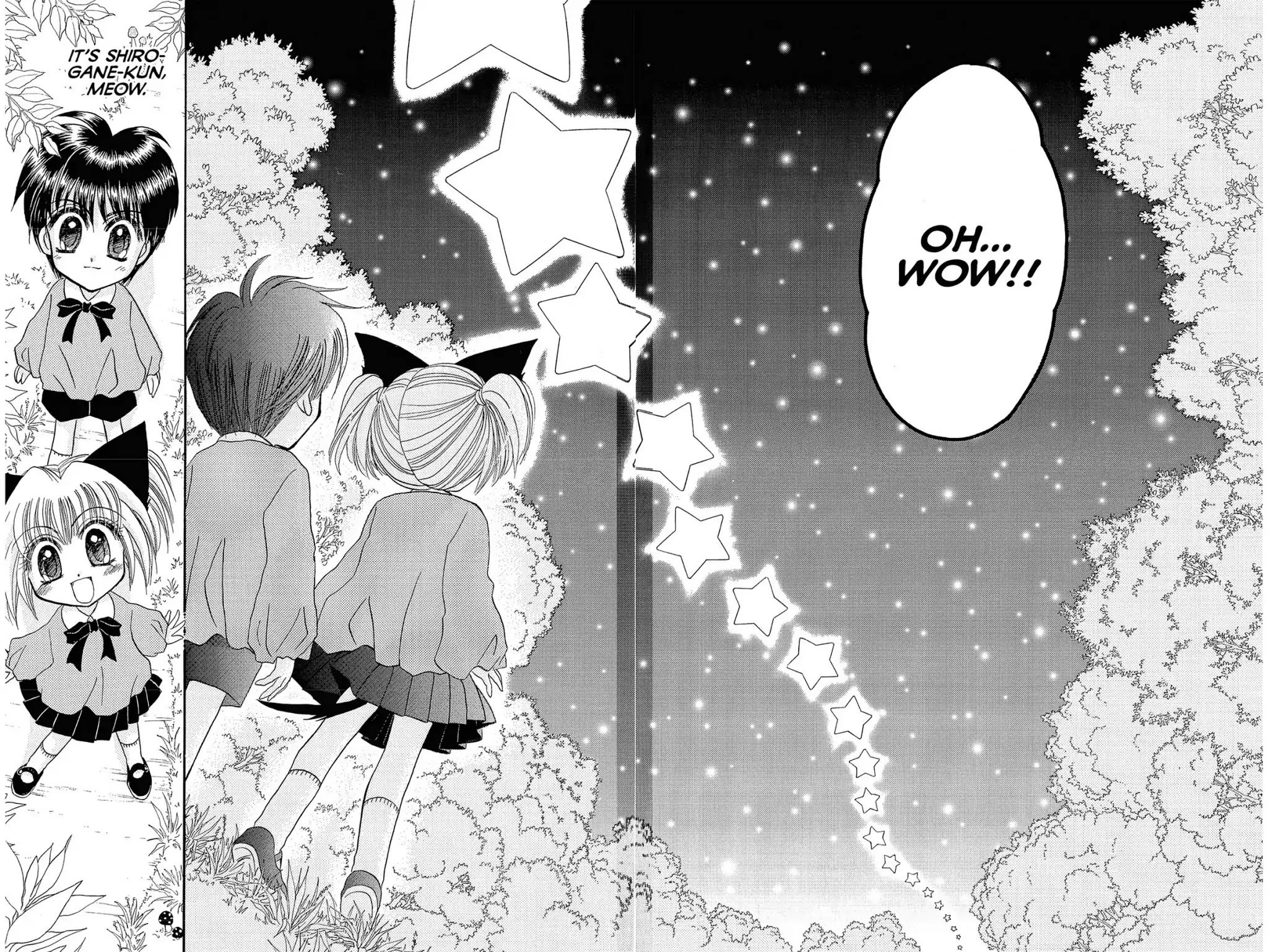 Tokyo Mew Mew Chapter 17.9 page 28 - Another Story: Little Mew Mew