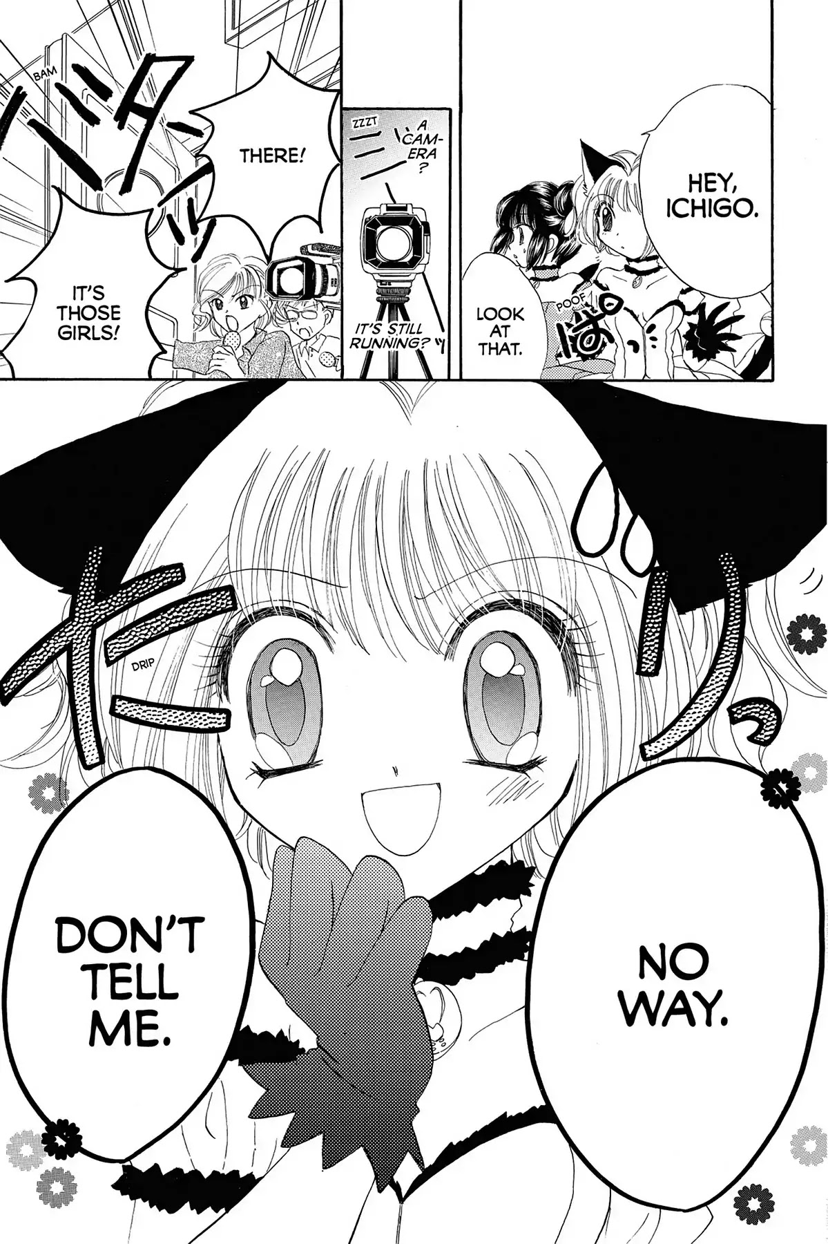 Tokyo Mew Mew Chapter 8 page 28 - Chapter 8