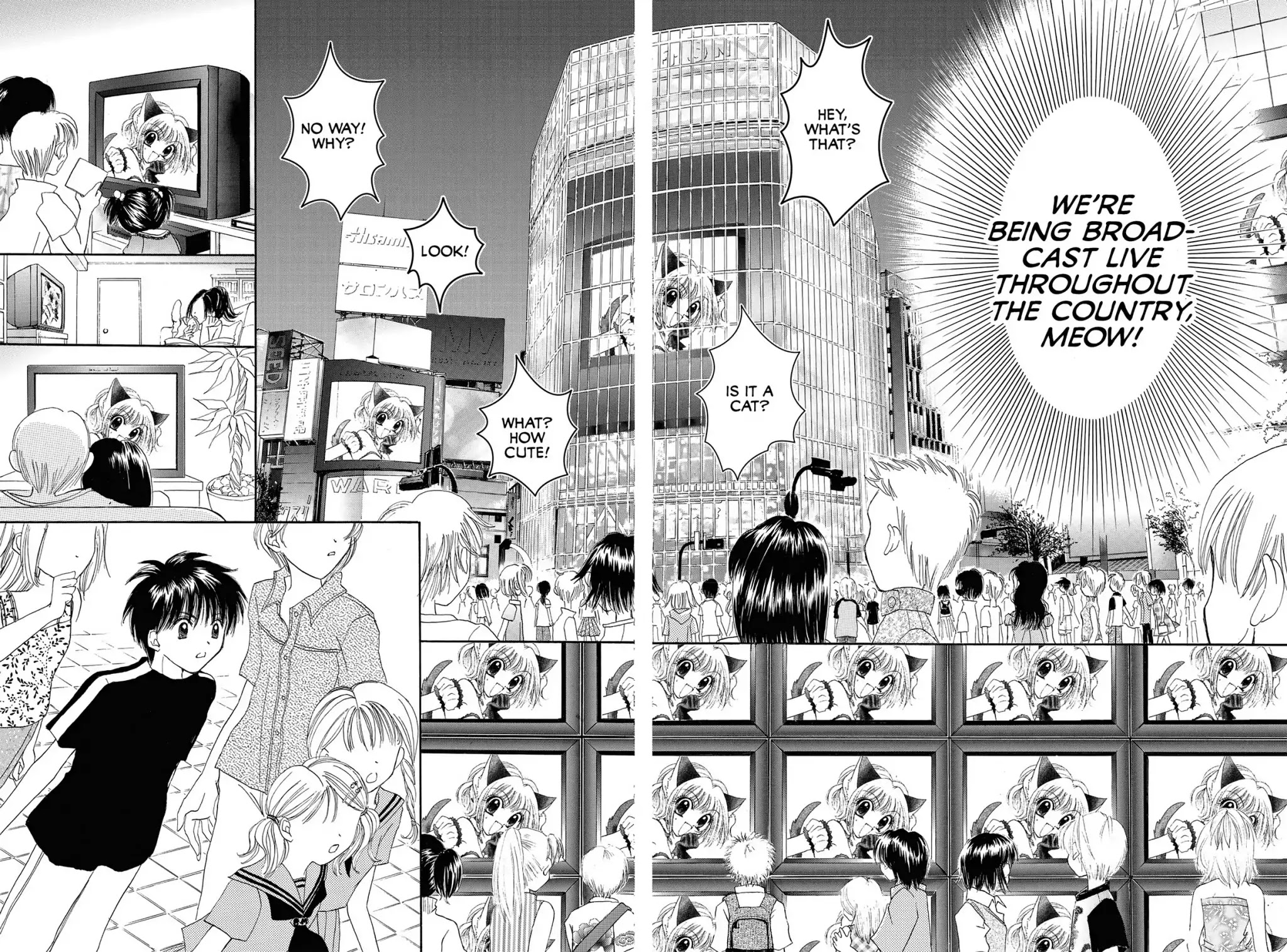 Tokyo Mew Mew Chapter 8 page 29 - Chapter 8