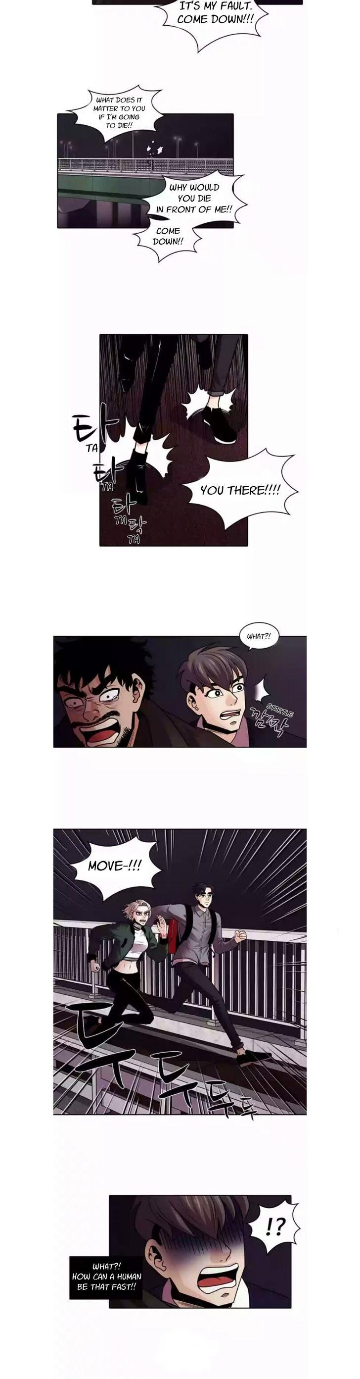 Tomorrow (Llama) Chapter 1 page 13 - Chapter 1 : That Day