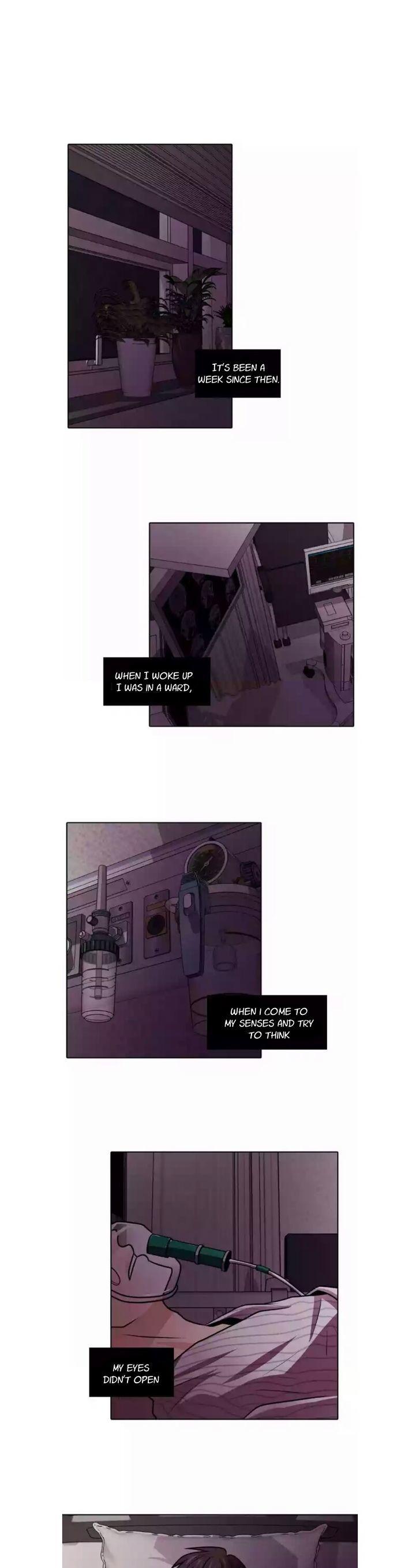 Tomorrow (Llama) Chapter 1 page 37 - Chapter 1 : That Day
