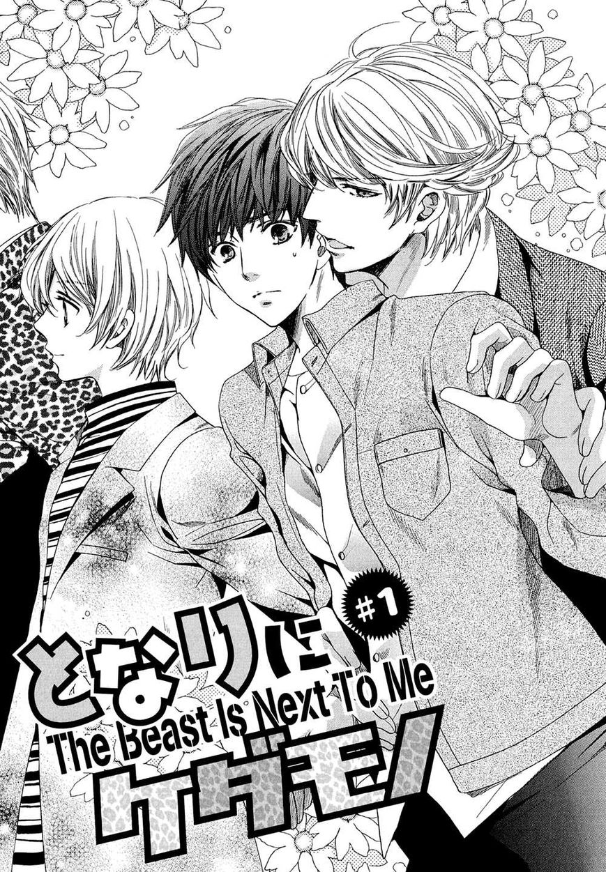 Tonari ni Kedamono Chapter 1 page 6 - Chapter 1