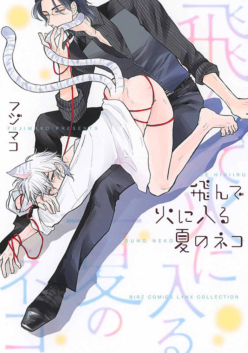 Tonde Hi ni Iru Natsu no Neko Chapter 1 page 2 - Chapter 1
