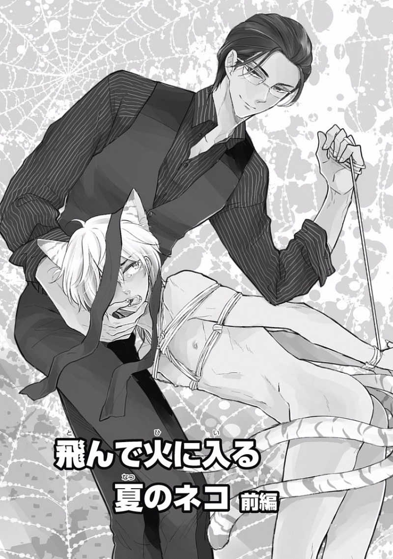 Tonde Hi ni Iru Natsu no Neko Chapter 1 page 5 - Chapter 1
