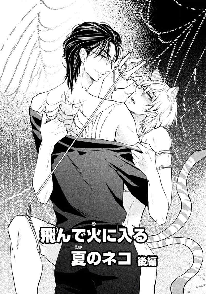 Tonde Hi ni Iru Natsu no Neko Chapter 2 page 2 - Chapter 2