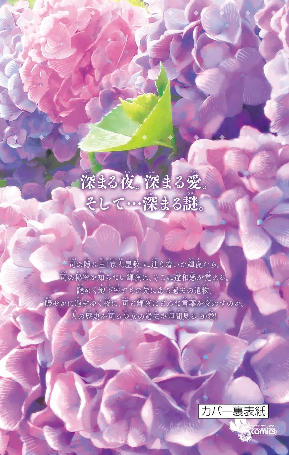 Tonikaku Cawaii Chapter 187.5 page 20 - Chapter 187.5: Omake