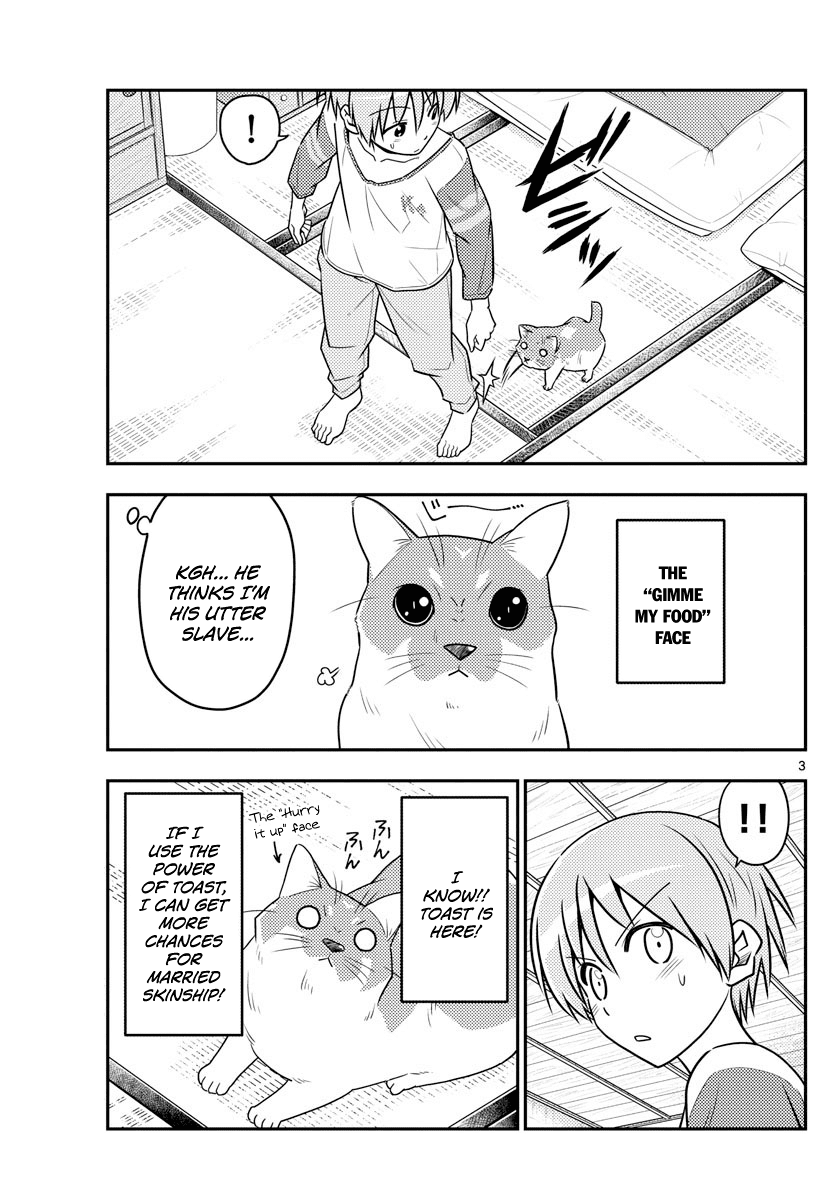 Tonikaku Cawaii Chapter 53 page 3 - Chapter 53: Cat vs. Couple
