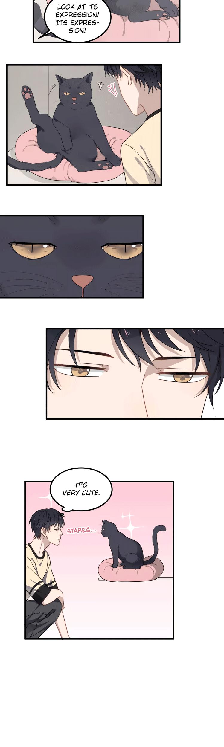 Too Close Chapter 43 page 16 - Chapter 43: You're A Pighead