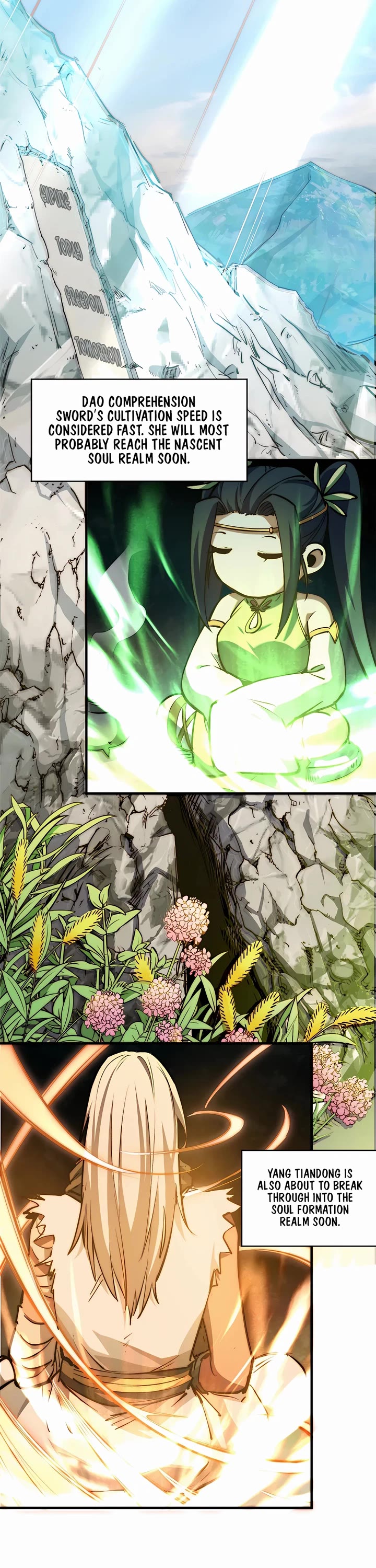 Top Tier Providence: Secretly Cultivate for a Thousand Years Chapter 135 page 2 - Chapter 135