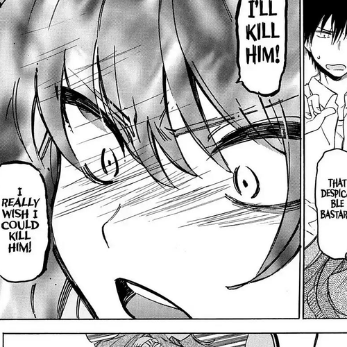Toradora! Chapter 48: Papaya cover