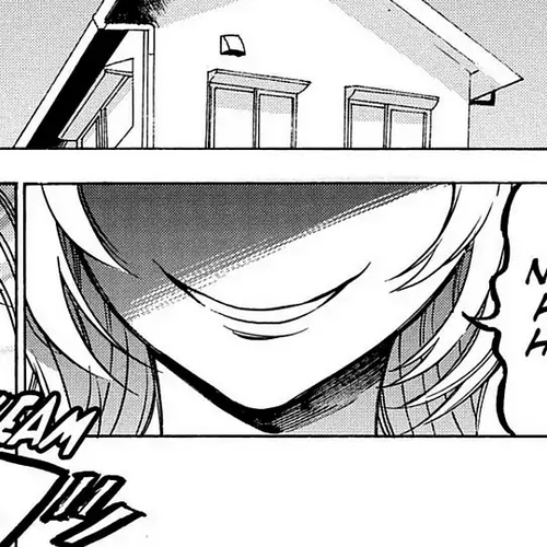 Toradora! Chapter 63: Stupid cover