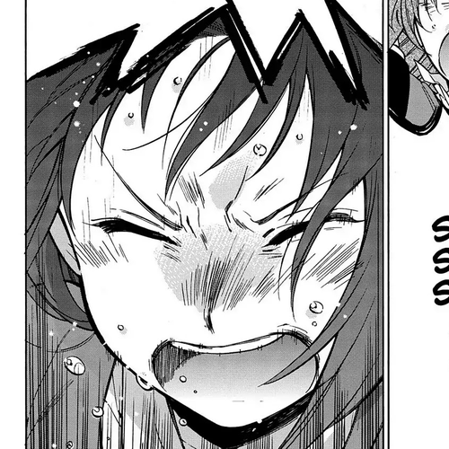 Toradora! Chapter 66: Kanou Sumire cover