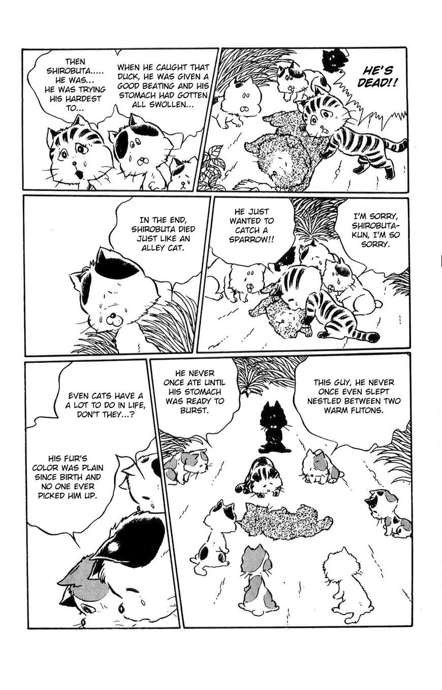 Torajima no Mime Chapter 2 page 13 - Chapter 2 : Torajima no Mi-me Part 2