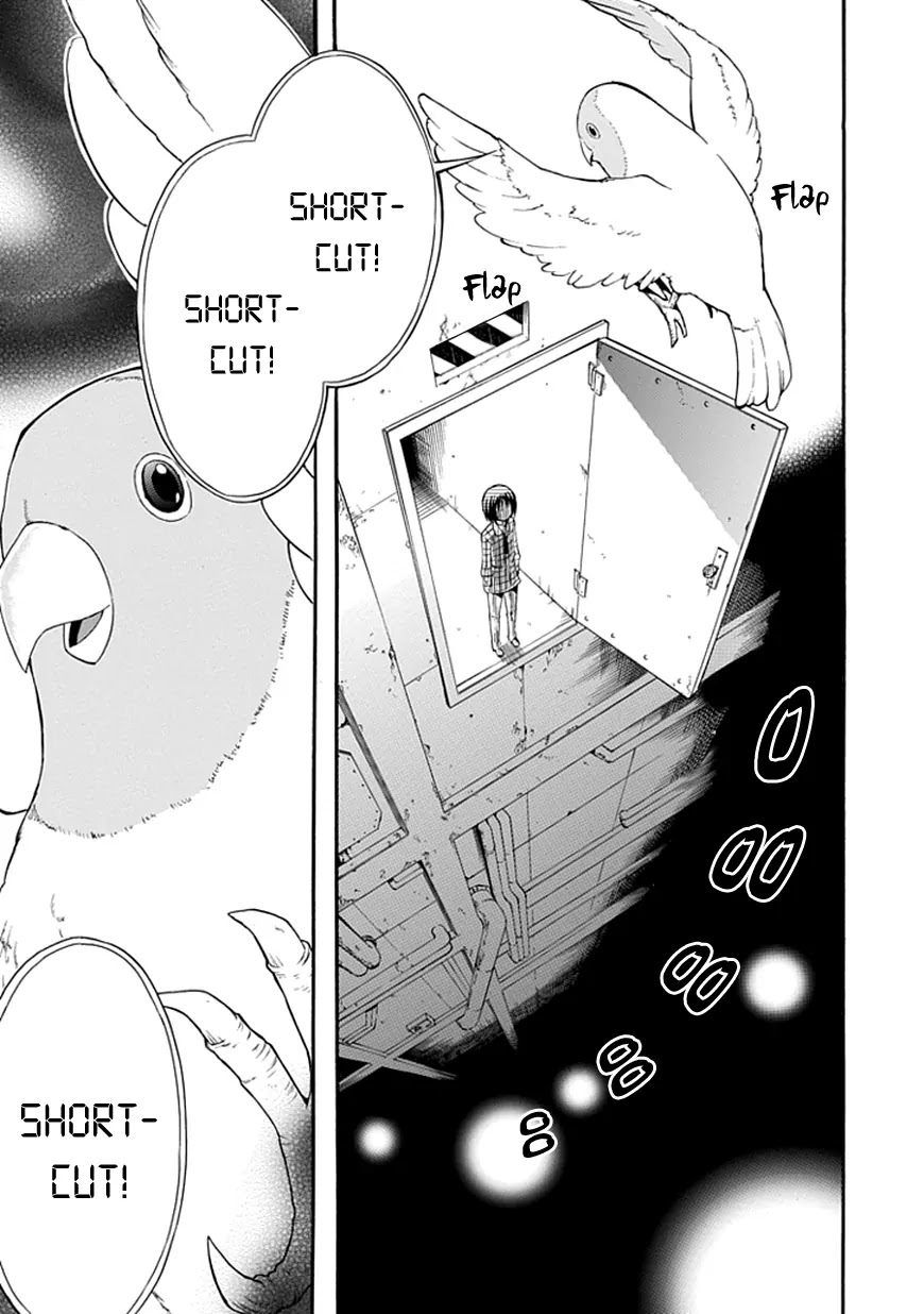 Torikago no Tsugai Chapter 4 page 41 - Chapter 4: 2 Out Of 3