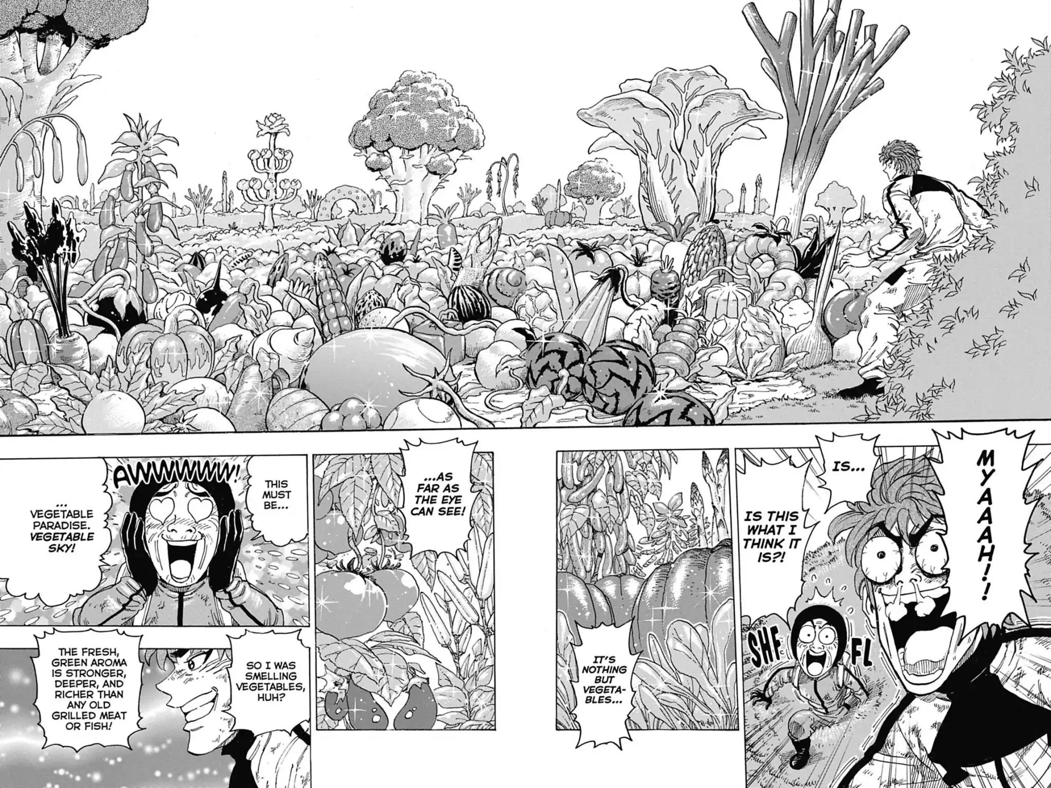 Toriko Chapter 106 page 10 - Chapter 106: Vol.12 Gourmet 106: Vegetable Sky!!