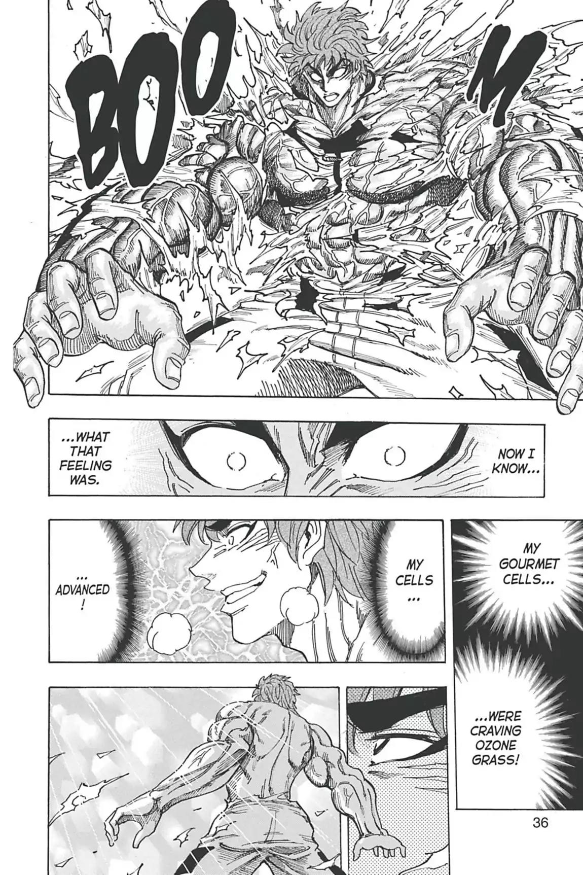 Toriko Chapter 108 page 10 - Chapter 108: Vol.13 Gourmet 108: A Taste of Ozone Grass!!