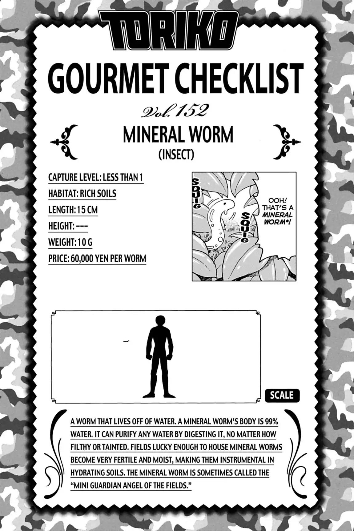 Toriko Chapter 132 page 13 - Chapter 132: Vol.15 Gourmet 132: Gourmet Pyramid!!