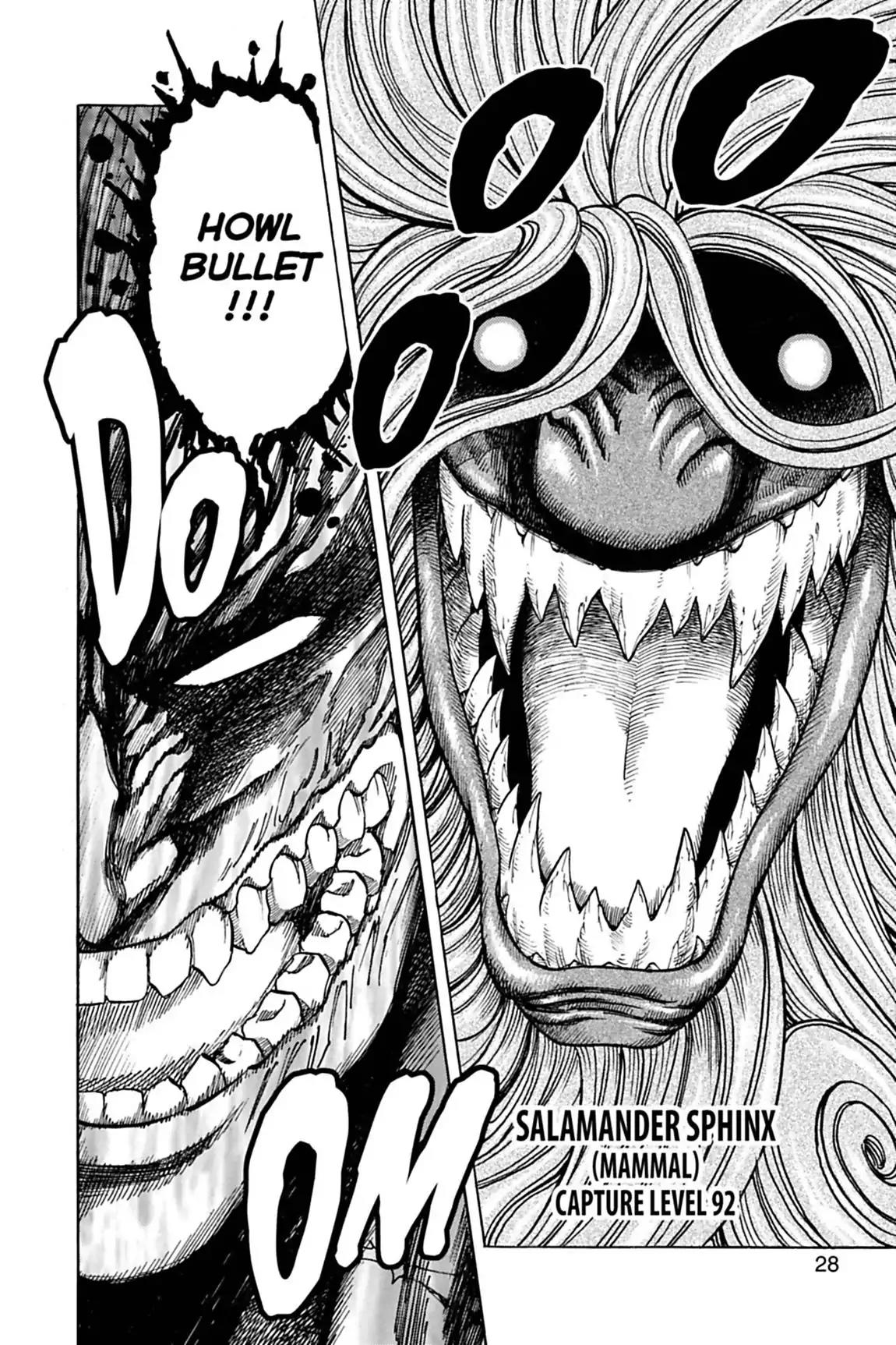 Toriko Chapter 136 page 3 - Chapter 136: Vol.16 Gourmet 136: Versus the Salamander Sphinx!!