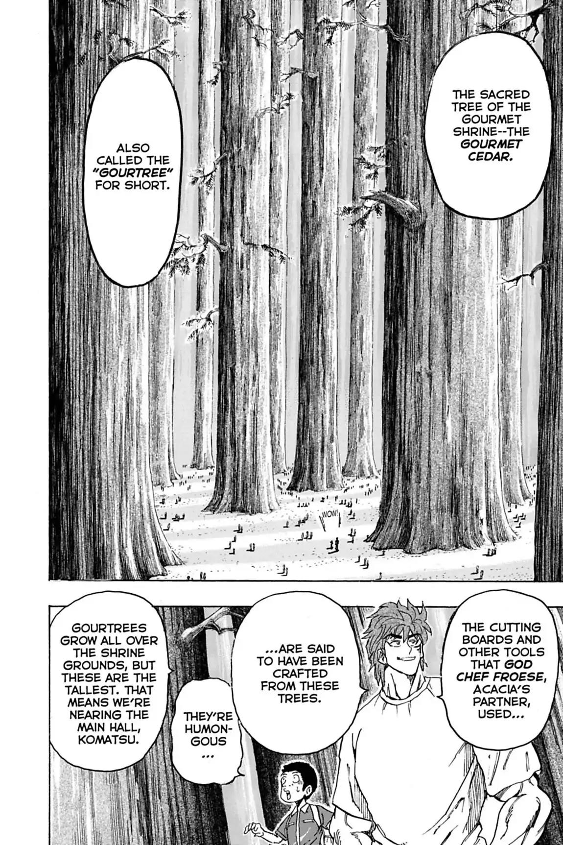 Toriko Chapter 145 page 17 - Chapter 145: Vol.17 Gourmet 145: Gourmet Shrine!!