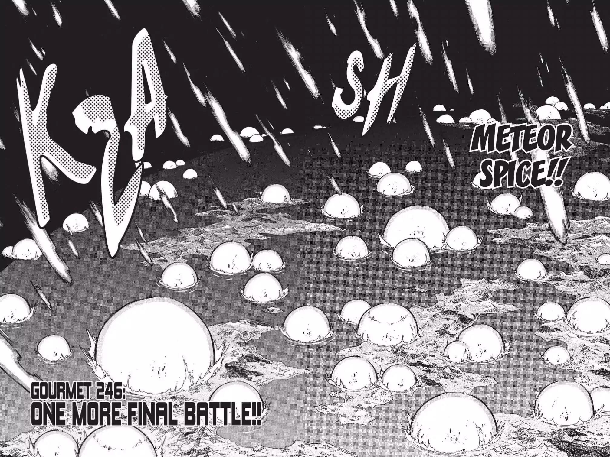 Toriko Chapter 246 page 2 - Chapter 246: Vol.28 Gourmet 246: One More Final Battle!!
