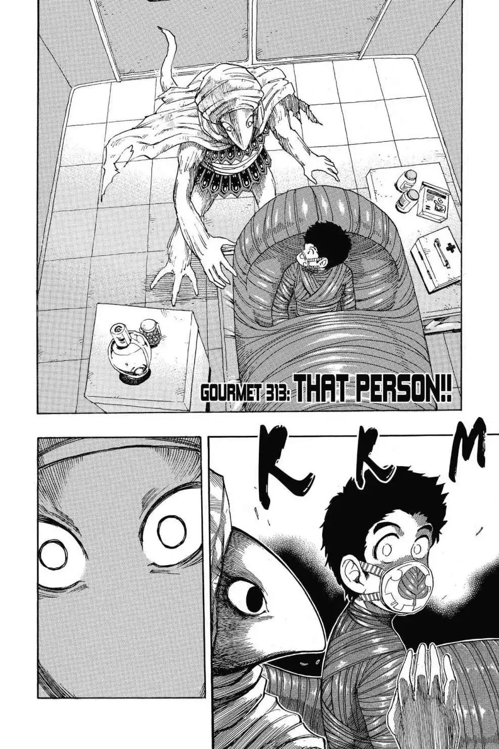 Toriko Chapter 313 page 2 - Chapter 313: Vol.35 Gourmet 313: That Person!!