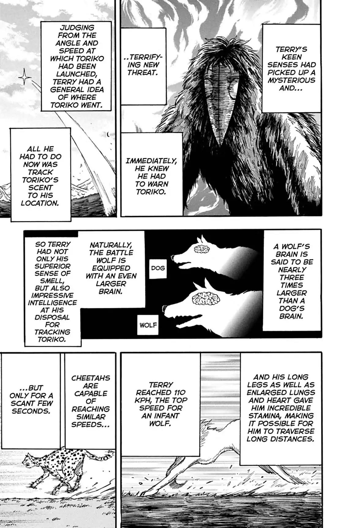 Toriko Chapter 36 page 8 - Chapter 36: Vol.5 Gourmet 36: Regal Isle Race!!