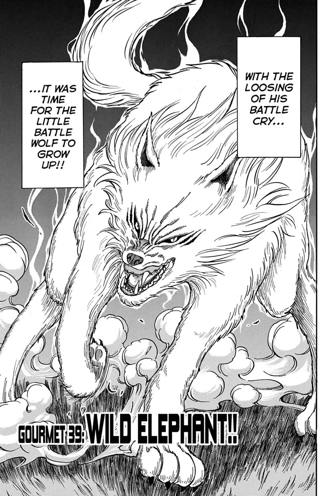 Toriko Chapter 39 page 3 - Chapter 39: Vol.5 Gourmet 39: Wild Elephant!!