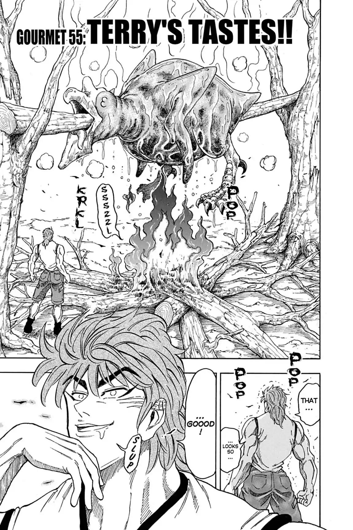Toriko Chapter 55 page 3 - Chapter 55: Vol.7 Gourmet 55: Terry's Tastes!!