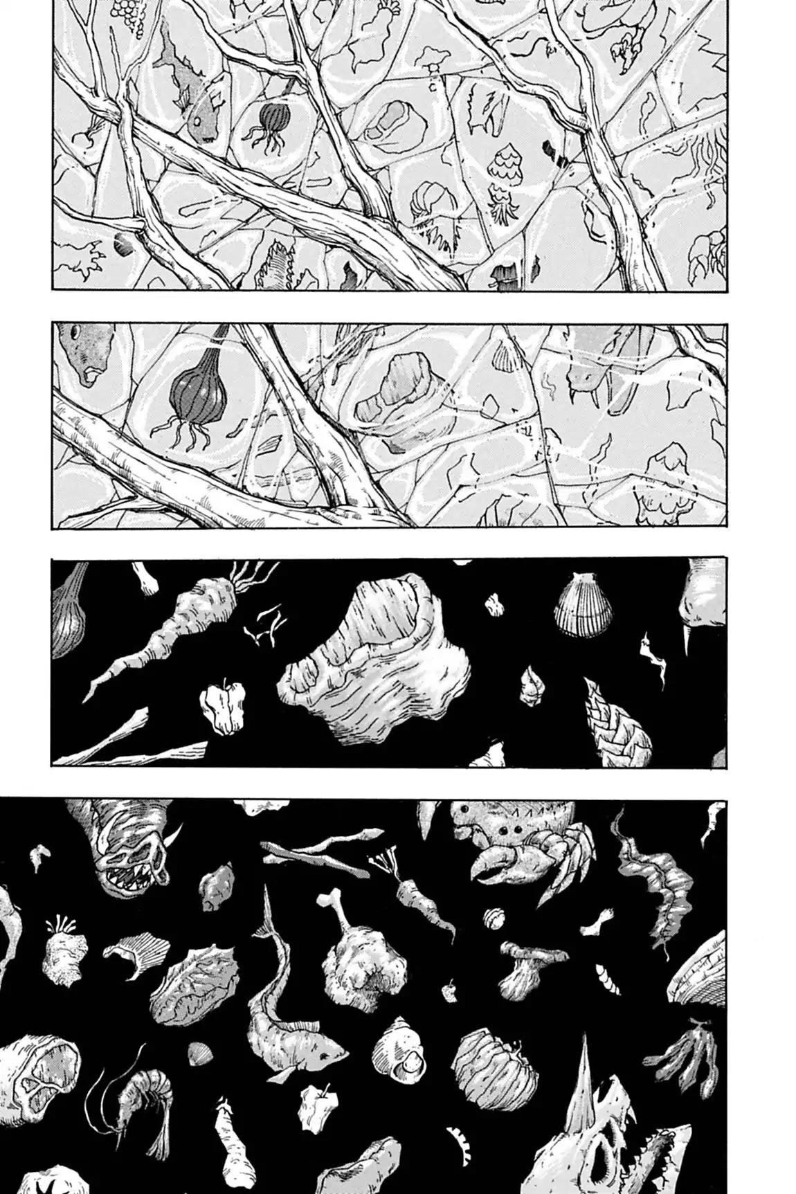 Toriko Chapter 91 page 13 - Chapter 91: Vol.11 Gourmet 91: The Last Drop Leads the Way!!