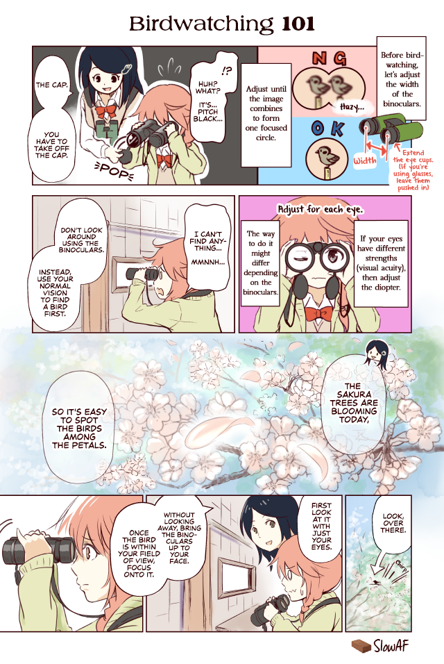 Torimibu no Takanashi-san. Chapter 12 page 1 - Chapter 12: Birdwatching 101