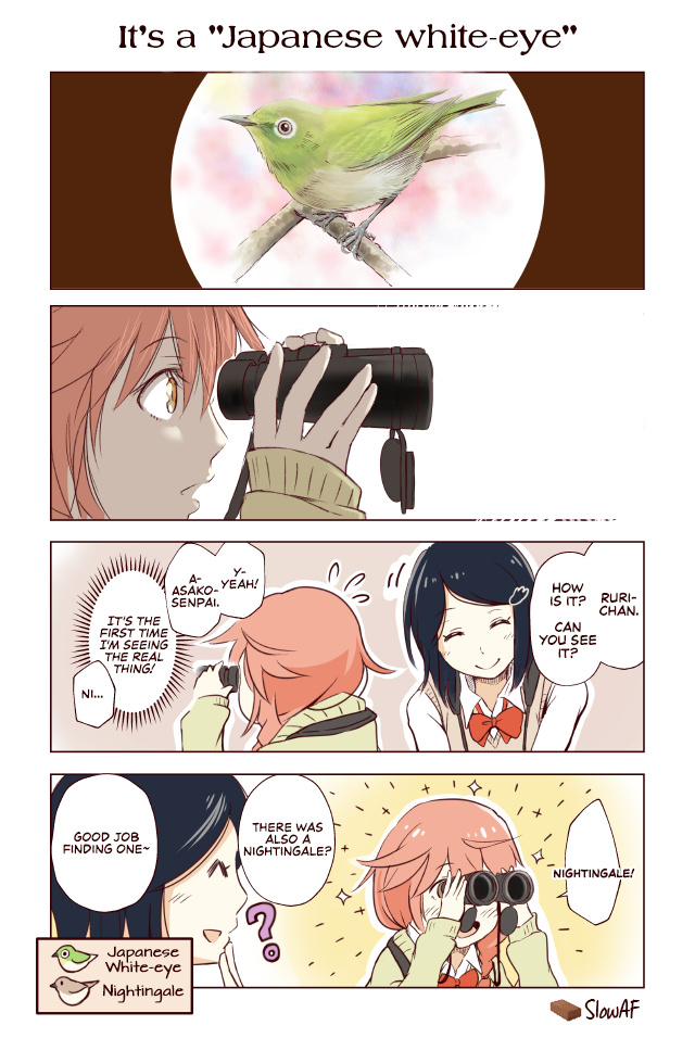 Torimibu no Takanashi-san. Chapter 13 page 1 - Chapter 13: It's a "Japanese white-eye"