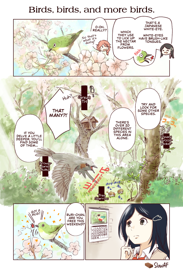 Torimibu no Takanashi-san. Chapter 14 page 1 - Chapter 14: Birds, birds, and more birds.