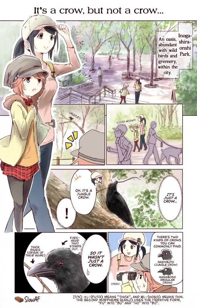 Torimibu no Takanashi-san. Chapter 17 page 1 - Chapter 17: It's a crow, but not a crow...