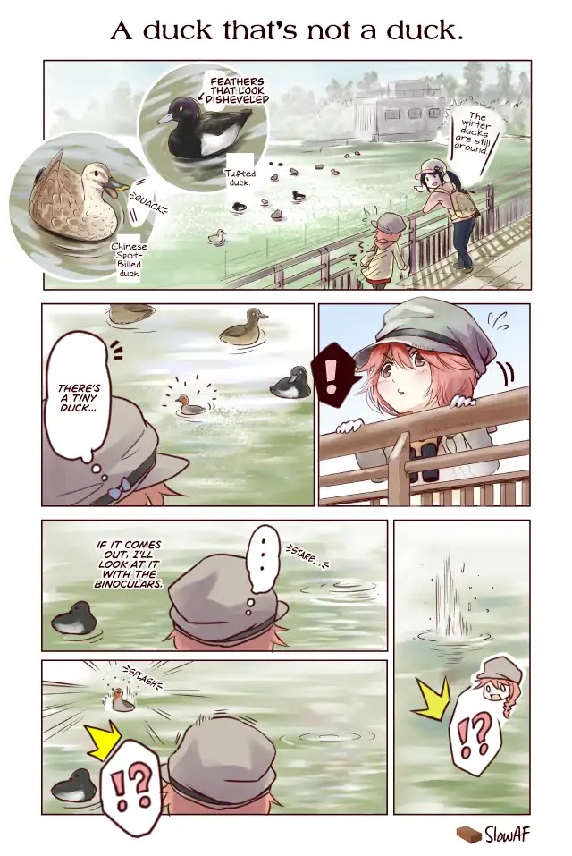 Torimibu no Takanashi-san. Chapter 18 page 1 - Chapter 18: A duck that's not a duck.